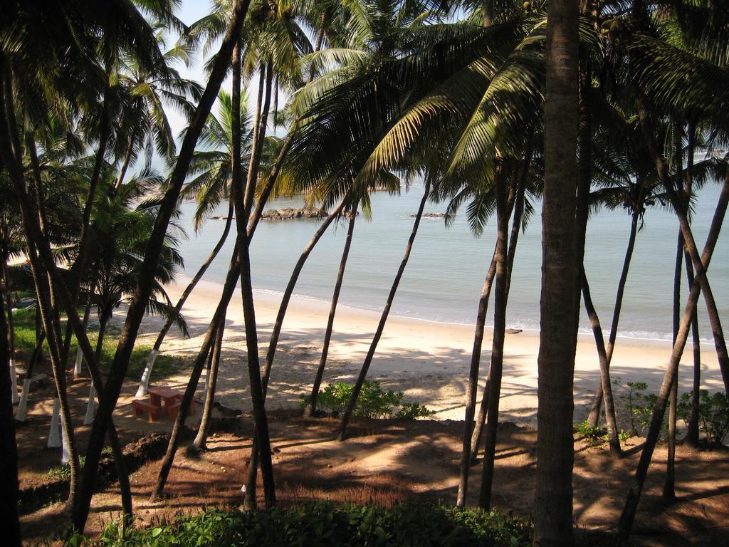 Chera Rocks Beach House Hotell Thottada Rum bild